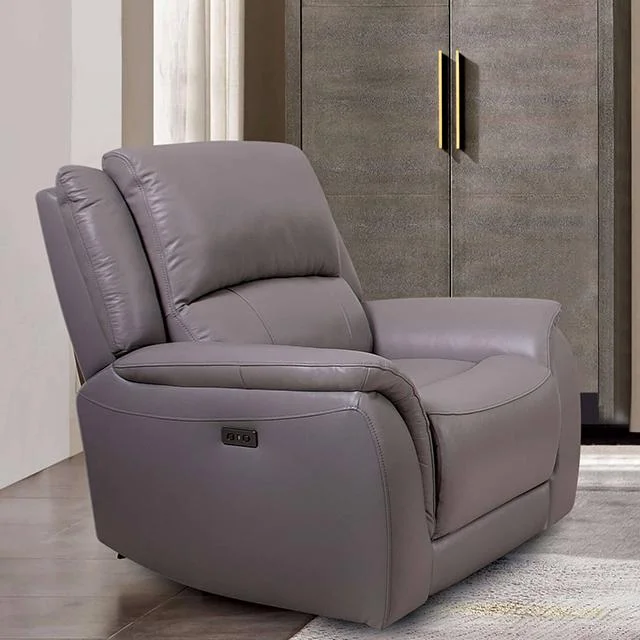 GORGIUS Power Recliner, Light Gray