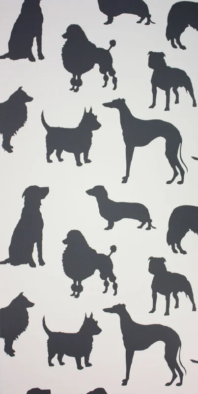 Best in Show Wallpaper in Black from the Walk in The Park Collection by Osborne & Little