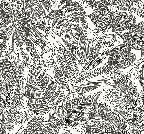 Brentwood Black Palm Leaves Wallpaper by Scott Living