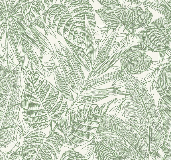 Brentwood Green Palm Leaves Wallpaper by Scott Living