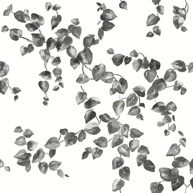 Creeping Fig Vine Wallpaper in Black and White from the Simply Farmhouse Collection