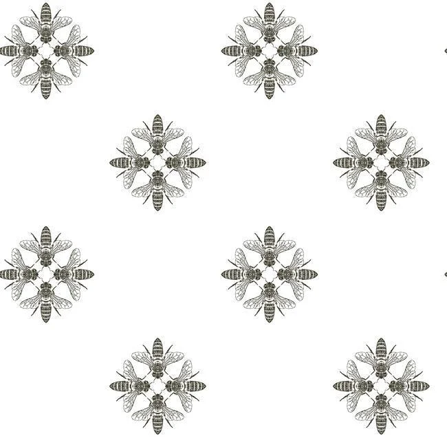 Honey Bee Peel & Stick Wallpaper in White and Black