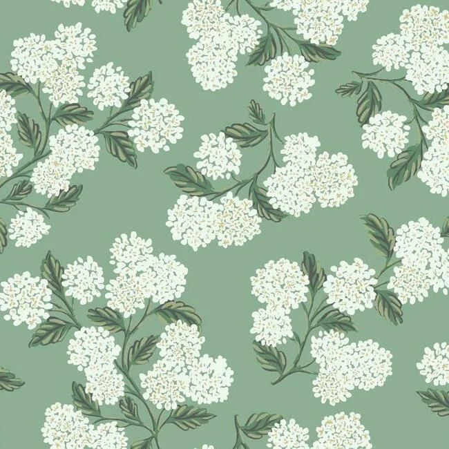 Hydrangea Wallpaper in Jade from the Rifle Paper Co. Collection