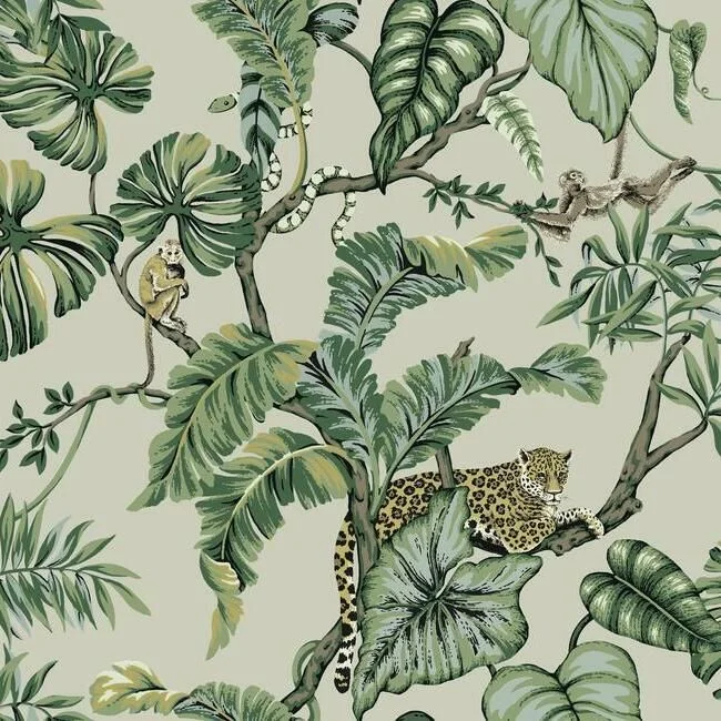 Jungle Cat Wallpaper in Beige from the Traveler Collection by Ronald Redding