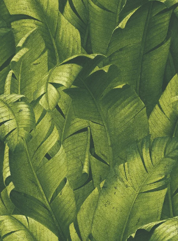 Tropical Banana Leaf Peel-and-Stick Wallpaper in Green